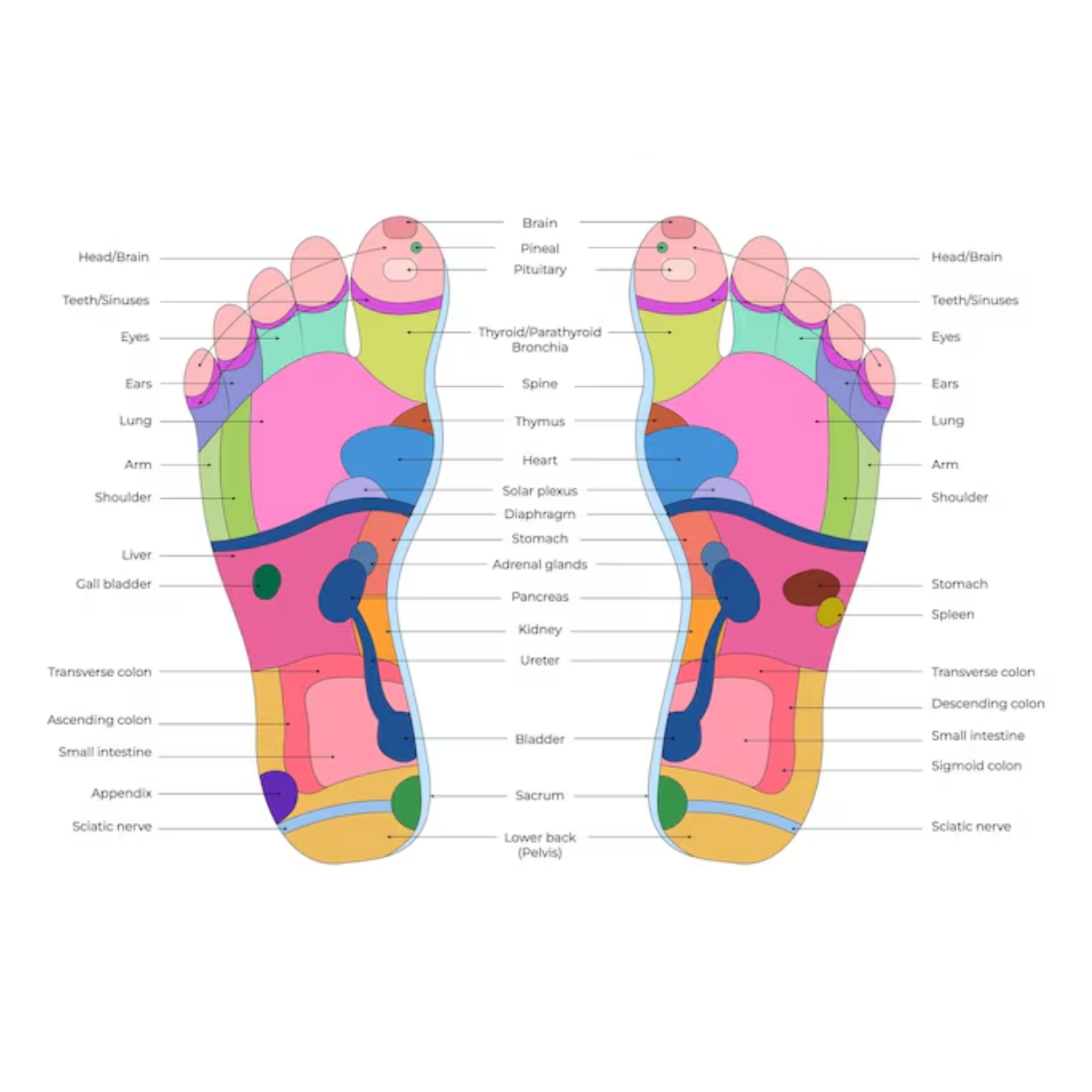 k-start-course-image